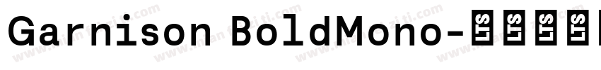 Garnison BoldMono字体转换